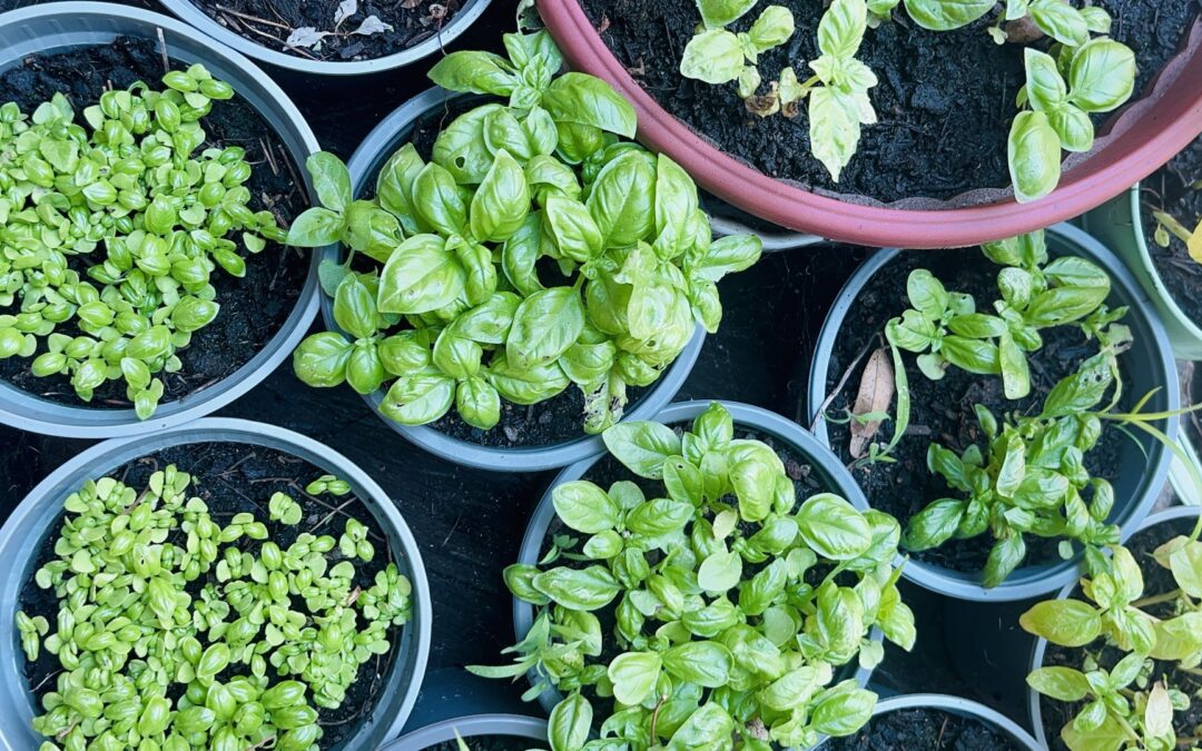 SETTEMBRE Il vero lusso