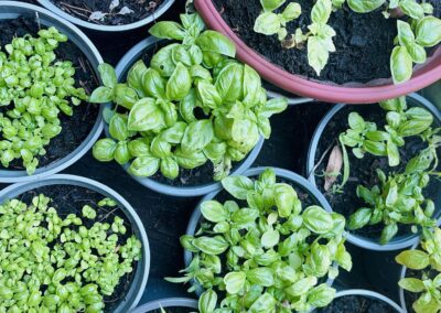 SETTEMBRE Il vero lusso