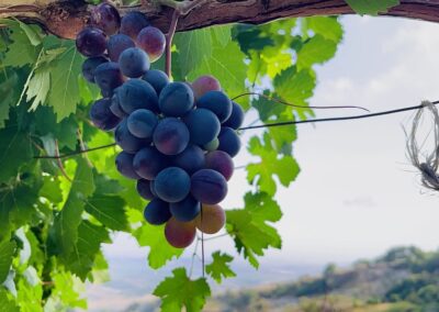 OTTOBRE Hai fatto il pieno di energia?