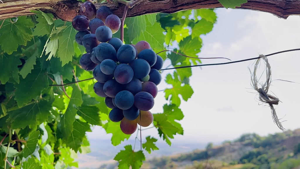 OTTOBRE Hai fatto il pieno di energia?