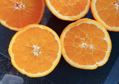 APRILE Ti porto le arance