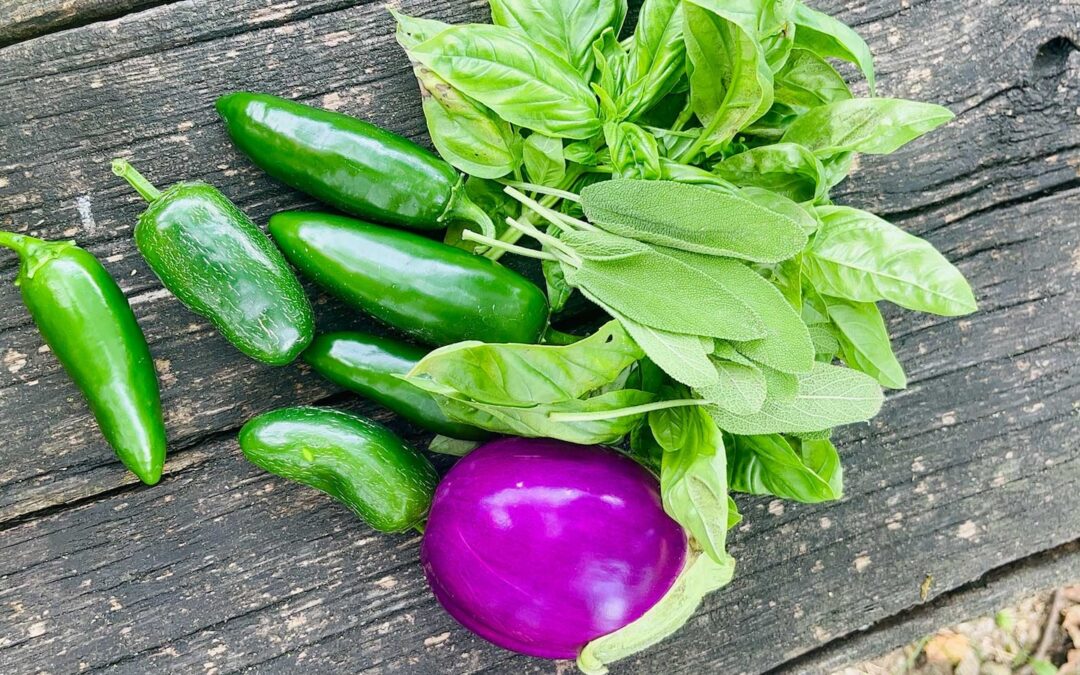 Stagionalità | L’importanza degli alimenti al momento giusto