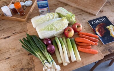 Workshop fermentati: Kimchi, crauti e limoni